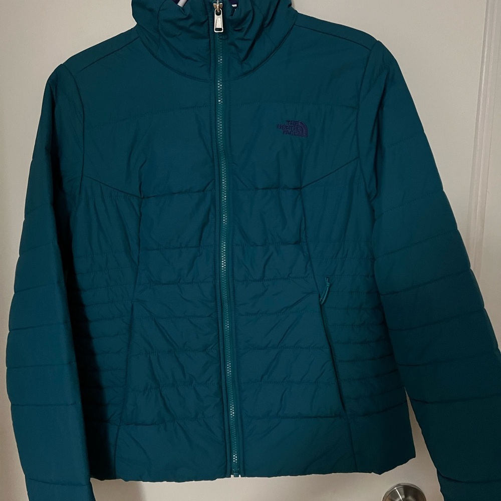 The North Face Blue Puffer Jacket with High Collar and Quilted Design